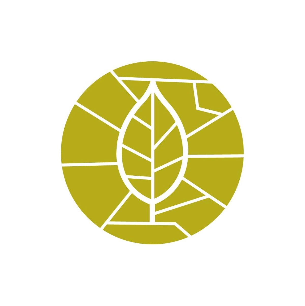 Plantsoenloop Groningen 2025